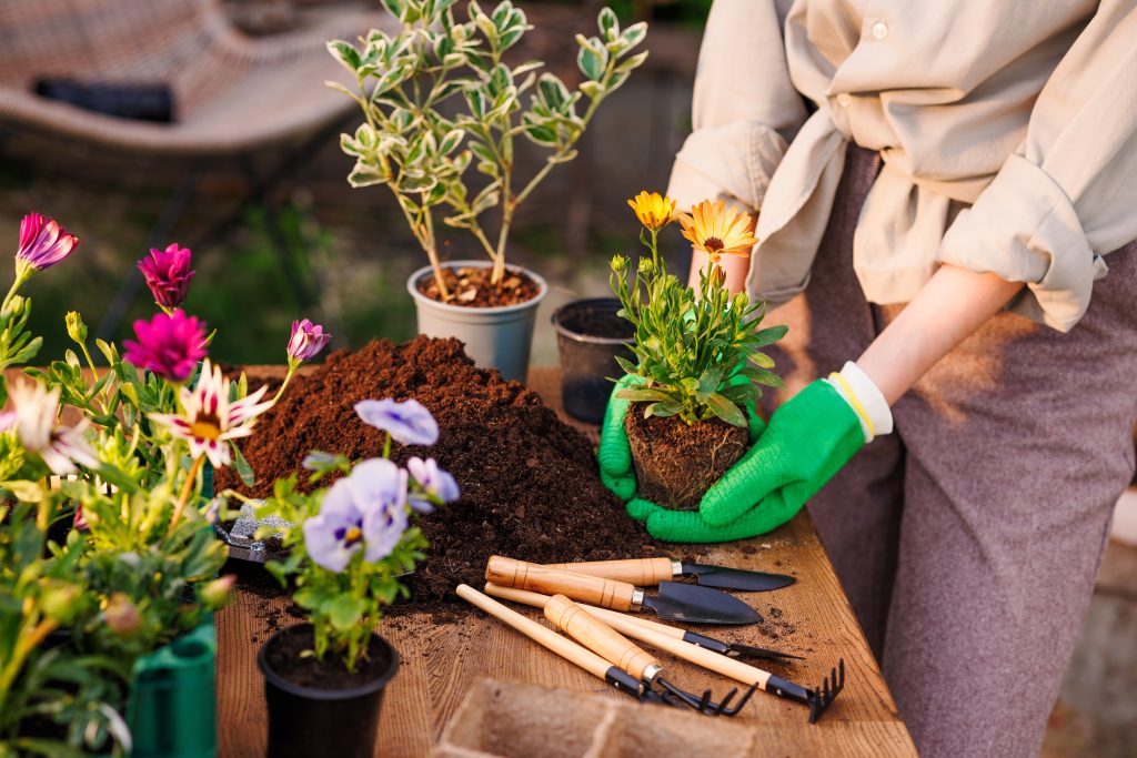 jardinage facile outils indispensables débutants truelle bêche sécateur gants arrosoir